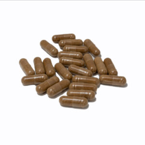 Buy MUSHROOM Blend Capsules Online