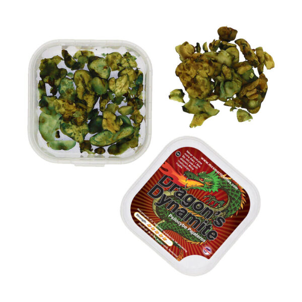 Buy Magic Truffles Dragon’s Dynamite Online