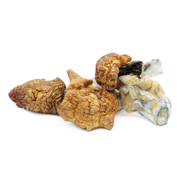 Buy Mexican Magic Mushrooms 60g Online