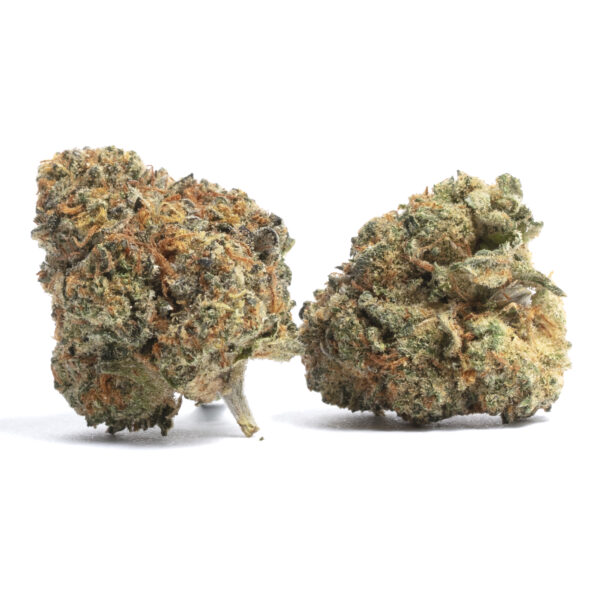 Buy Terp Alert Blackout Jenny Kush 3.5g Online