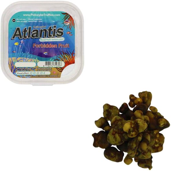 Buy Magic Truffles Atlantis Online – Premium Psilocybin Truffles