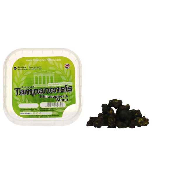 Buy Tampanensis Mushroom Truffles Online – 4 Psychedelic Clarity