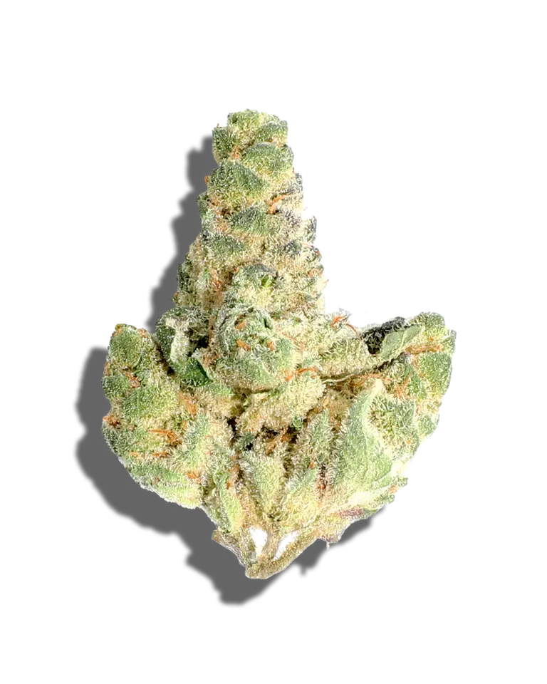 Buy Banana Banshee Weed Strain Online | Hybrid THC Flower