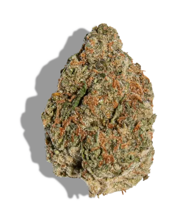 Buy Jenny Kush 1oz Weed Strain Online | Premium Hybrid Flower