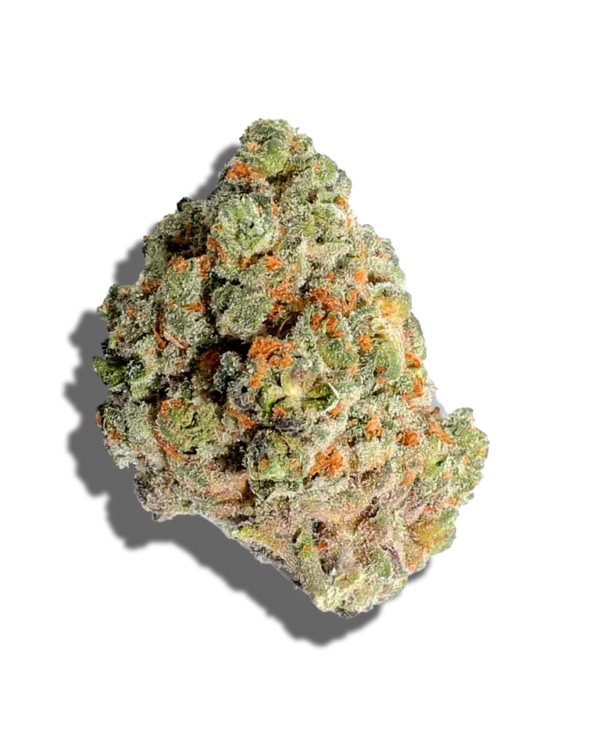 Buy G13 Sativa Weed Strain Online – Energetic, Creative Hybrid