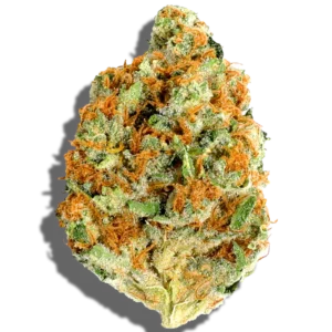 Buy White x Tang Haze 1oz Online | Premium Hybrid Weed Strain
