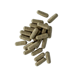 Buy B+ Cubensis Shrooms Capsules Online